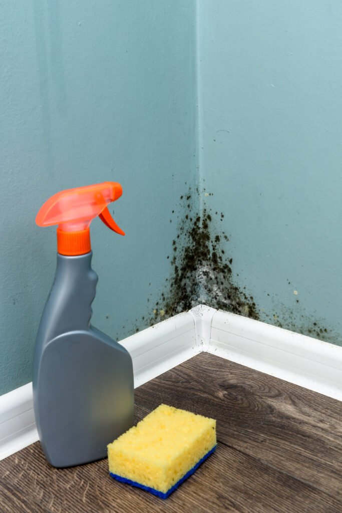 Cleaning spray bottle and sponge beside a moldy wall